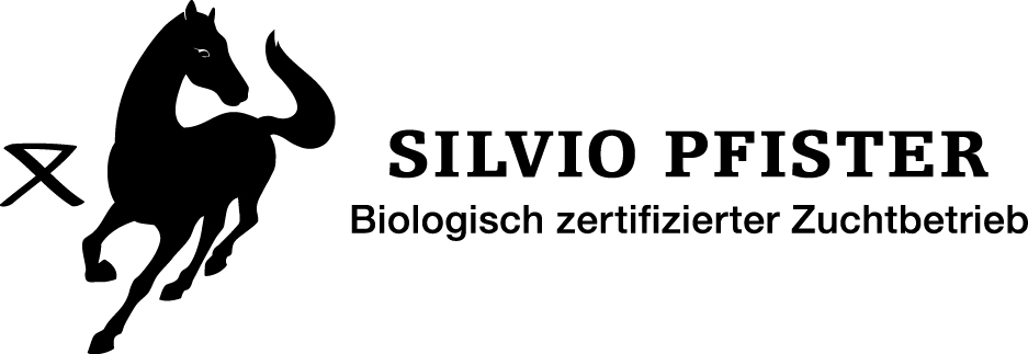 Silvio Pfister